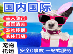 栎社空运公司国际宠物托运 【国